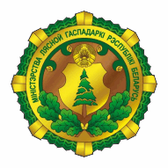 Логотип Новокрупский лесхоз
