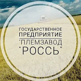 Логотип Государственное предприятие "Племзавод "Россь"
