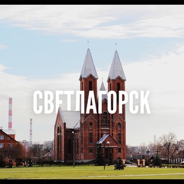 Изображение электронная ярмарка вакансий светлогорского района для безработных и граждан, не занятых в экономике