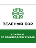 Логотип ООО «ЭлегмаИнвест»