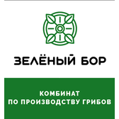 Логотип ООО «ЭлегмаИнвест»