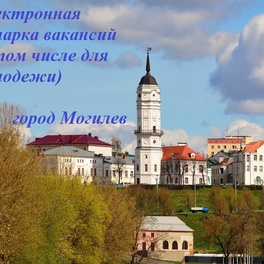 Изображение электронная ярмарка вакансий (в том числе для молодежи) могилев