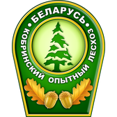Логотип Кобринский опытный лесхоз