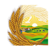 Логотип Государственное предприятие "Саковщина-Агро"