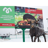 Логотип ОАО "Столбцовский мясоконсервный комбинат"