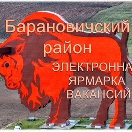 Изображение электронная ярмарка вакансий барановичского района
