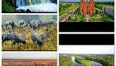 Изображение 'электронная ярмарка вакансий миорского…